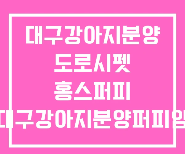 대구강아지분양 도로시펫 홍스퍼피 대구강아지분양퍼피얌