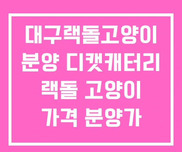 대구랙돌고양이 분양 디캣캐터리 랙돌 고양이 가격 분양가 대구랙돌고양이 분양 디캣캐터리 랙돌 고양이 가격 분양가