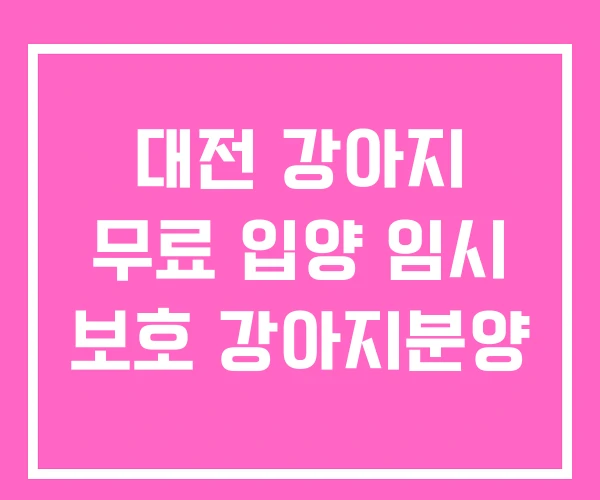 대전 강아지 무료 입양 임시 보호 강아지분양 대전 강아지 무료 입양 임시 보호 강아지분양