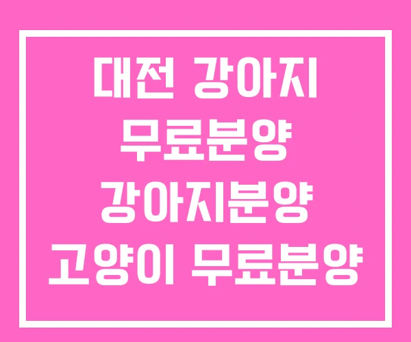 대전 강아지 무료분양 강아지분양 고양이 무료분양 대전 강아지 무료분양 강아지분양 고양이 무료분양
