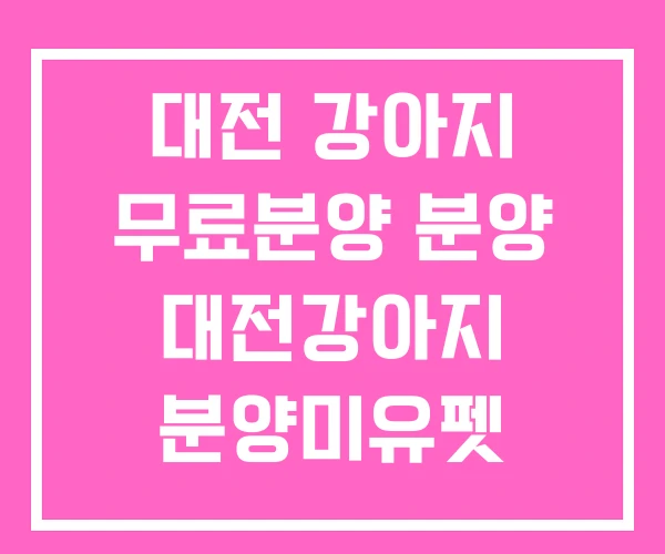 대전 강아지 무료분양 분양 대전강아지 분양미유펫 대전 강아지 무료분양 분양 대전강아지 분양미유펫