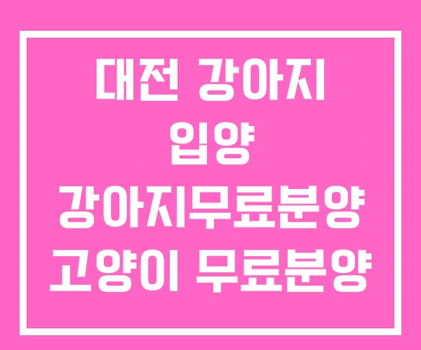 대전 강아지 입양 강아지무료분양 고양이 무료분양 대전 강아지 입양 강아지무료분양 고양이 무료분양