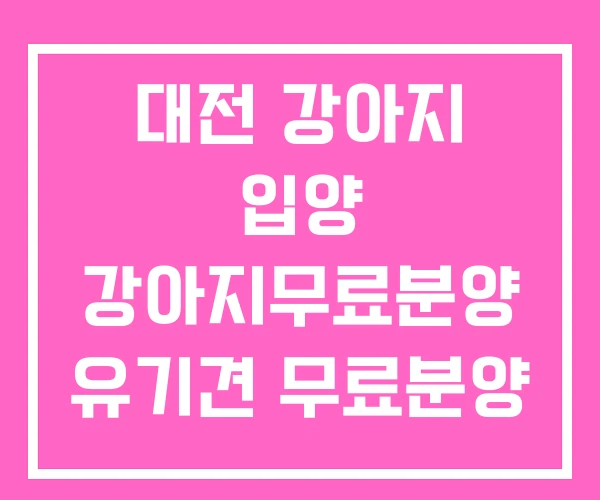 대전 강아지 입양 강아지무료분양 유기견 무료분양 대전 강아지 입양 강아지무료분양 유기견 무료분양