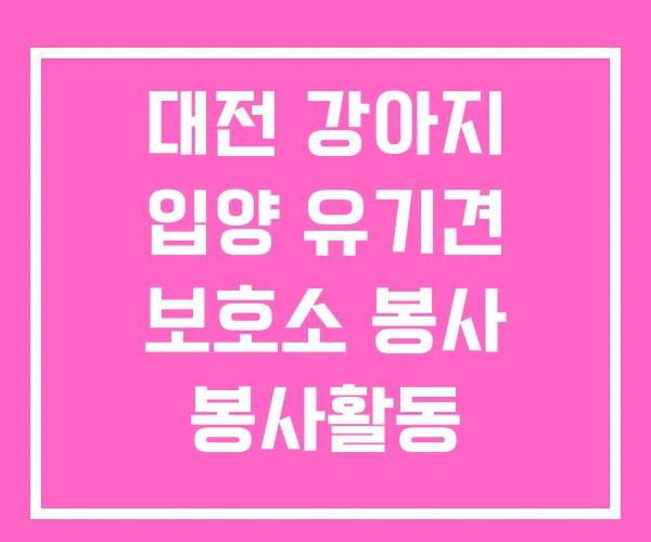 대전 강아지 입양 유기견 보호소 봉사 봉사활동