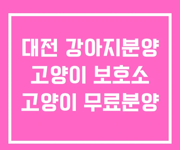 대전 강아지분양 고양이 보호소 고양이 무료분양 대전 강아지분양 고양이 보호소 고양이 무료분양
