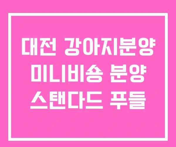 대전 강아지분양 미니비숑 분양 스탠다드 푸들