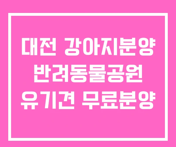 대전 강아지분양 반려동물공원 유기견 무료분양