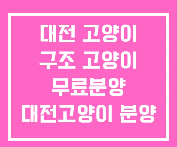대전 고양이 구조 고양이 무료분양 대전고양이 분양 대전 고양이 구조 고양이 무료분양 대전고양이 분양