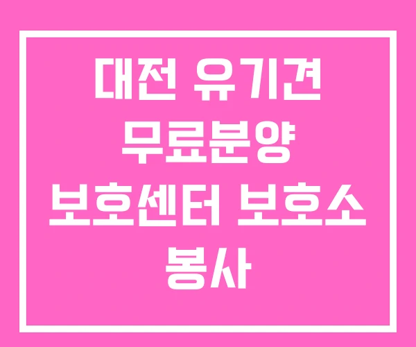 대전 유기견 무료분양 보호센터 보호소 봉사