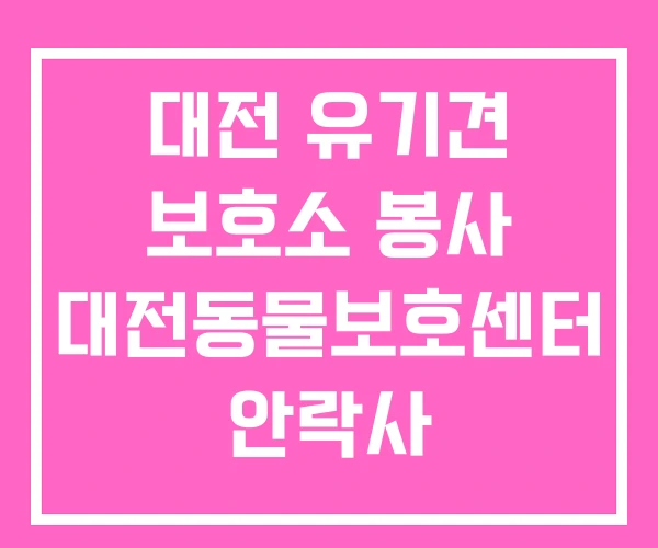 대전 유기견 보호소 봉사 대전동물보호센터 안락사