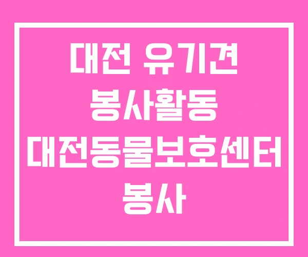 대전 유기견 봉사활동 대전동물보호센터 봉사