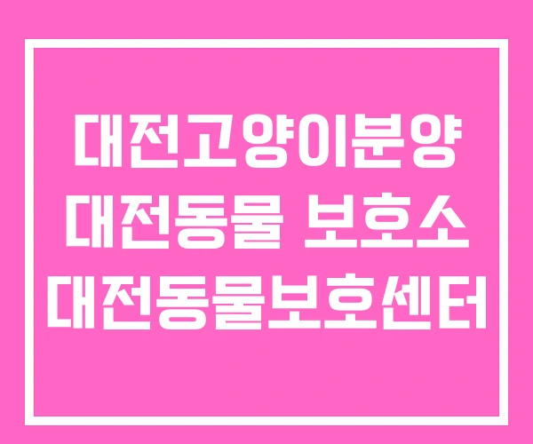 대전고양이분양 대전동물 보호소 대전동물보호센터 대전고양이분양 대전동물 보호소 대전동물보호센터