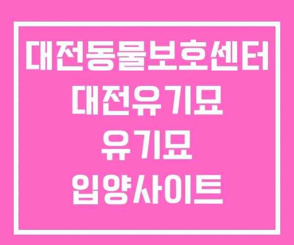 대전동물보호센터 대전유기묘 유기묘 입양사이트
