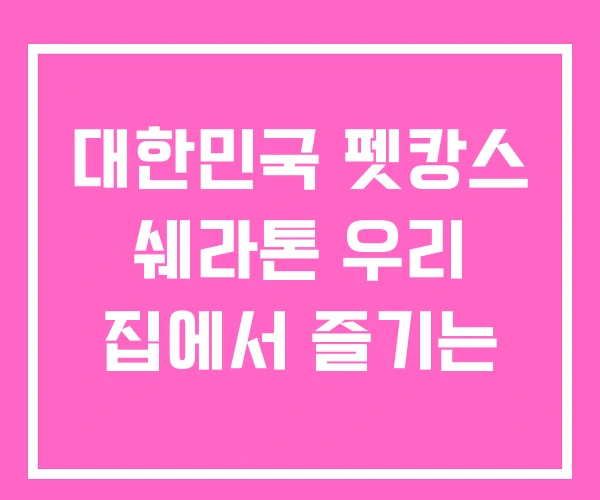 대한민국 펫캉스 쉐라톤 우리 집에서 즐기는