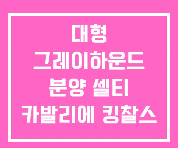 대형 그레이하운드 분양 셀티 카발리에 킹찰스 스파니엘