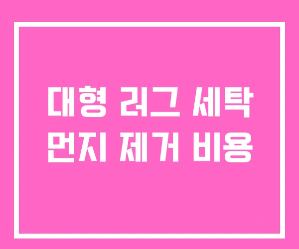 대형 러그 세탁 먼지 제거 비용