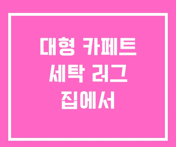 대형 카페트 세탁 러그 집에서 대형 카페트 세탁 러그 집에서
