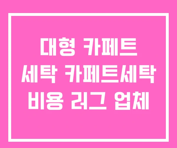 대형 카페트 세탁 카페트세탁 비용 러그 업체 대형 카페트 세탁 카페트세탁 비용 러그 업체