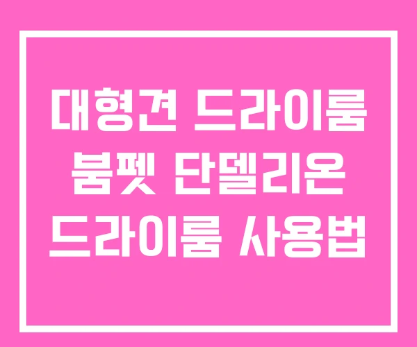 대형견 드라이룸 붐펫 단델리온 드라이룸 사용법