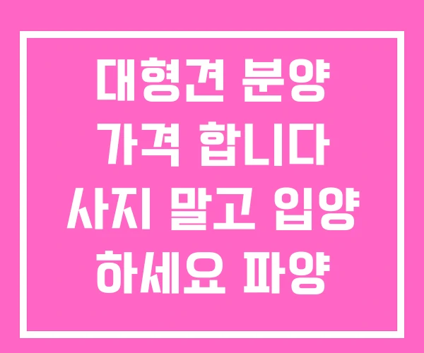대형견 분양 가격 합니다 사지 말고 입양 하세요 파양