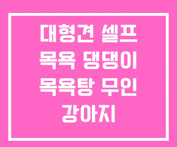 대형견 셀프 목욕 댕댕이 목욕탕 무인 강아지 대형견 셀프 목욕 댕댕이 목욕탕 무인 강아지