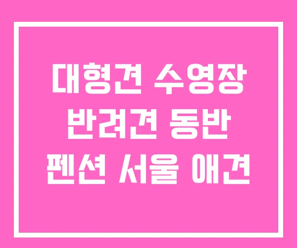 대형견 수영장 반려견 동반 펜션 서울 애견 대형견 수영장 반려견 동반 펜션 서울 애견