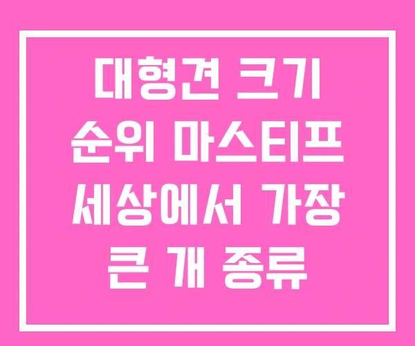 대형견 크기 순위 마스티프 세상에서 가장 큰 개 종류 대형견 크기 순위 마스티프 세상에서 가장 큰 개 종류