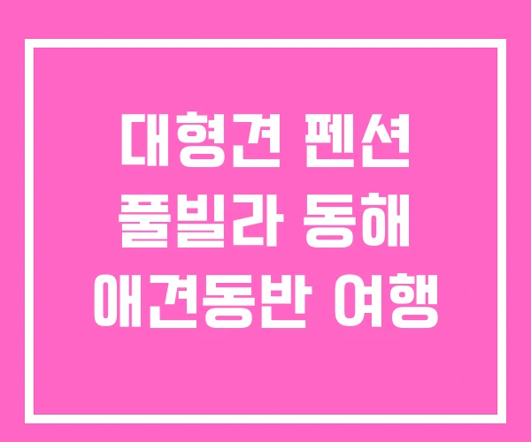 대형견 펜션 풀빌라 동해 애견동반 여행 대형견 펜션 풀빌라 동해 애견동반 여행