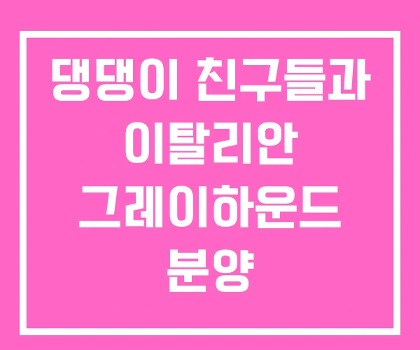 댕댕이 친구들과 이탈리안 그레이하운드 분양