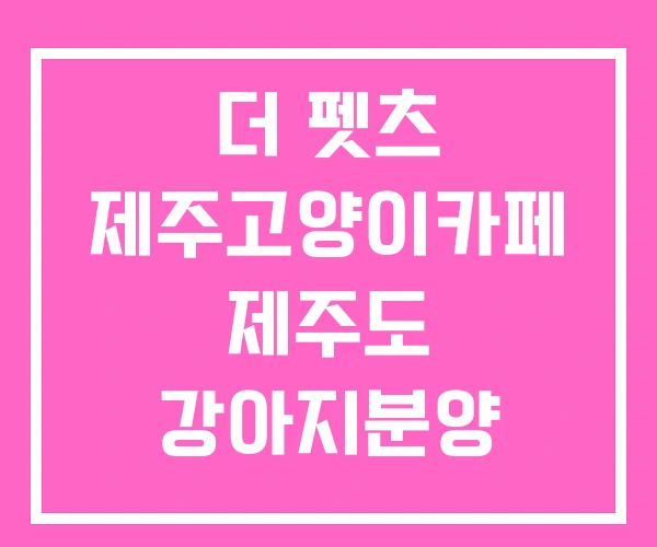 더 펫츠 제주고양이카페 제주도 강아지분양 더 펫츠 제주고양이카페 제주도 강아지분양