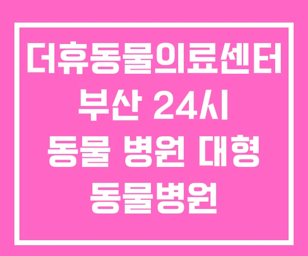 더휴동물의료센터 부산 24시 동물 병원 대형 동물병원 더휴동물의료센터 부산 24시 동물 병원 대형 동물병원