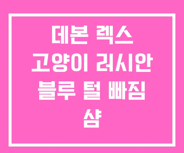 데본 렉스 고양이 러시안 블루 털 빠짐 샴