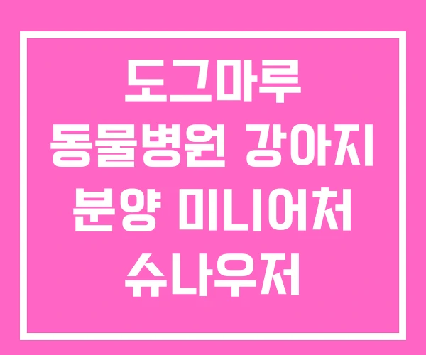 도그마루 동물병원 강아지 분양 미니어처 슈나우저