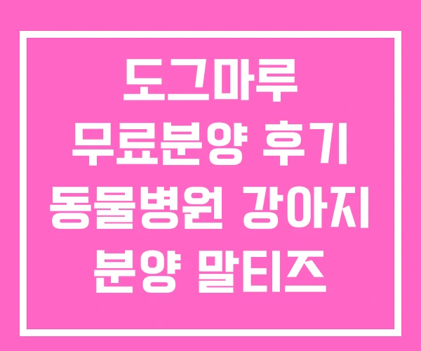 도그마루 무료분양 후기 동물병원 강아지 분양 말티즈
