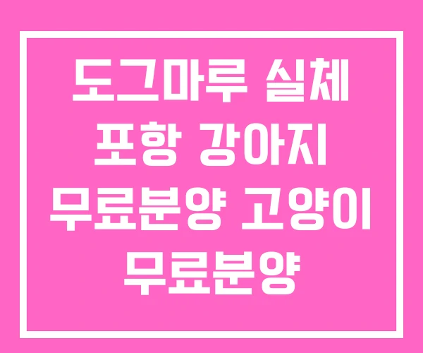 도그마루 실체 포항 강아지 무료분양 고양이 무료분양 도그마루 실체 포항 강아지 무료분양 고양이 무료분양