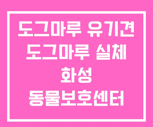 도그마루 유기견 도그마루 실체 화성 동물보호센터