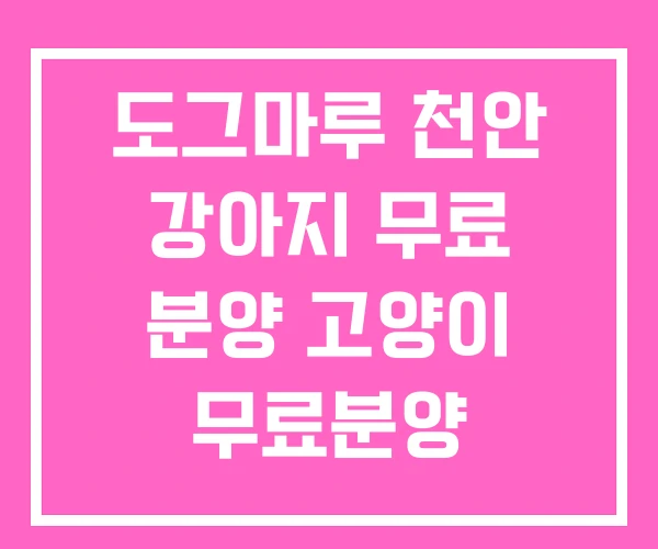 도그마루 천안 강아지 무료 분양 고양이 무료분양