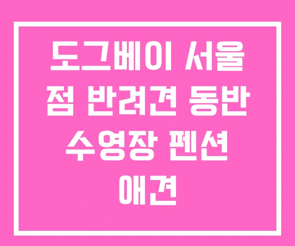 도그베이 서울 점 반려견 동반 수영장 펜션 애견 도그베이 서울 점 반려견 동반 수영장 펜션 애견