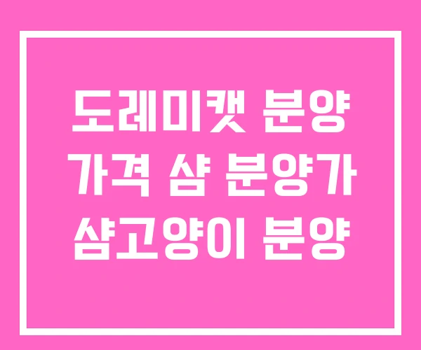 도레미캣 분양 가격 샴 분양가 샴고양이 분양