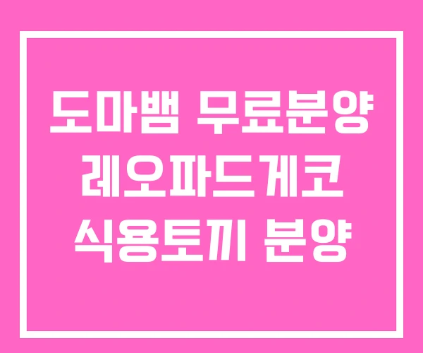 도마뱀 무료분양 레오파드게코 식용토끼 분양