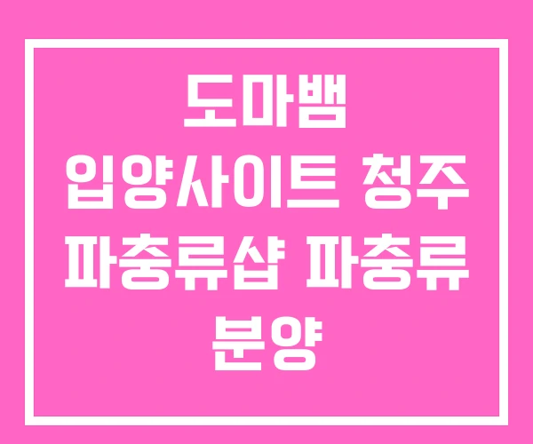 도마뱀 입양사이트 청주 파충류샵 파충류 분양