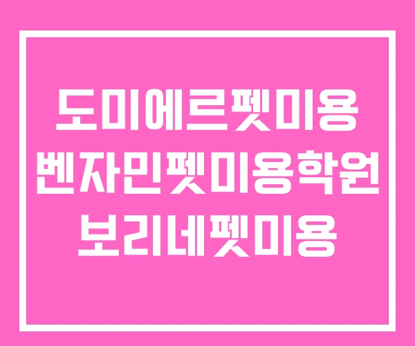 도미에르펫미용 벤자민펫미용학원 보리네펫미용 도미에르펫미용 벤자민펫미용학원 보리네펫미용