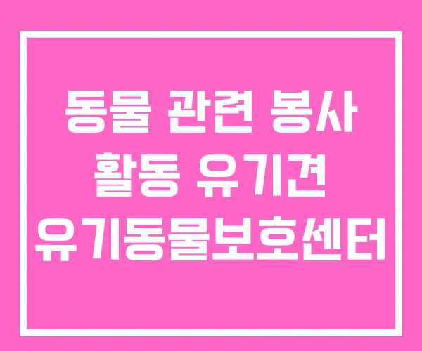 동물 관련 봉사 활동 유기견 유기동물보호센터 동물 관련 봉사 활동 유기견 유기동물보호센터