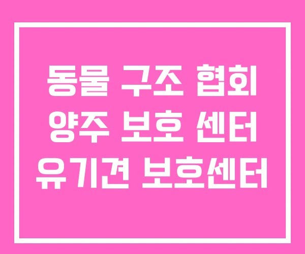 동물 구조 협회 양주 보호 센터 유기견 보호센터