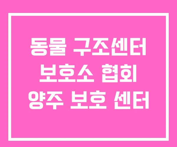 동물 구조센터 보호소 협회 양주 보호 센터