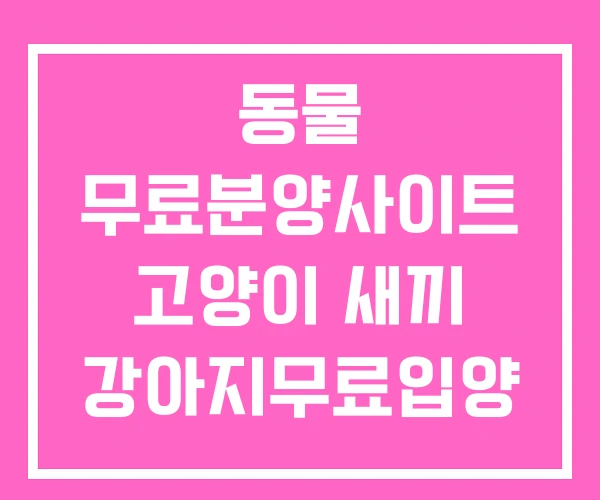 동물 무료분양사이트 고양이 새끼 강아지무료입양