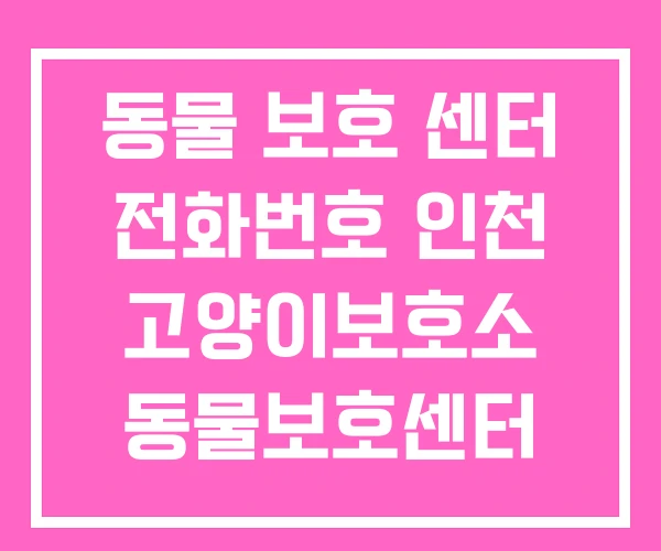 동물 보호 센터 전화번호 인천 고양이보호소 동물보호센터