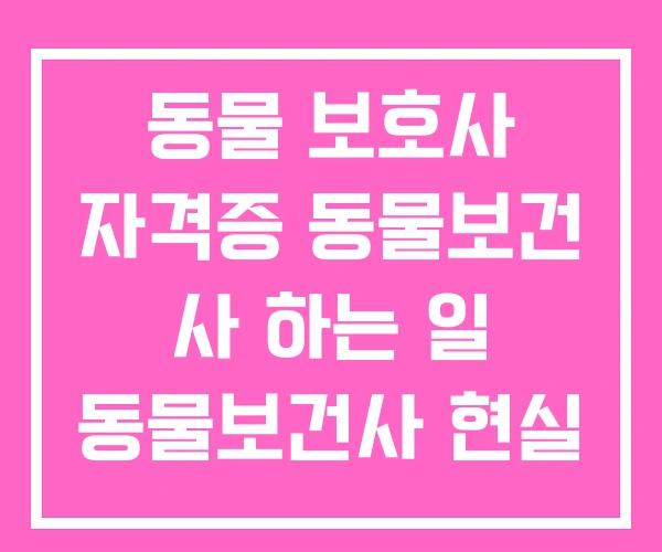 동물 보호사 자격증 동물보건 사 하는 일 동물보건사 현실