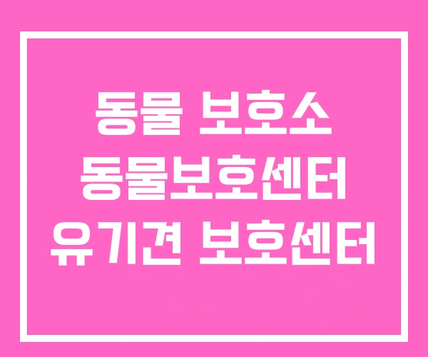 동물 보호소 동물보호센터 유기견 보호센터
