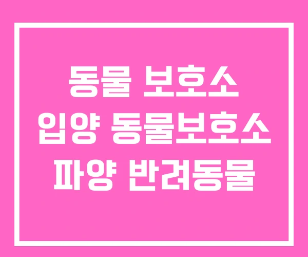 동물 보호소 입양 동물보호소 파양 반려동물